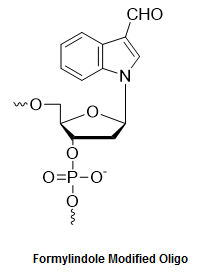 Bio-Synthesis Inc. Oligo Structure